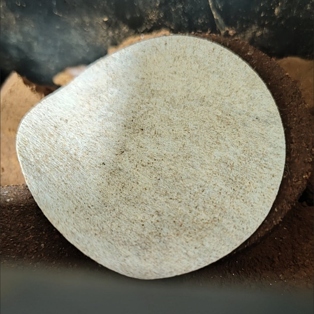 Puck Sieb Papierfilter Rund Papier Espresso